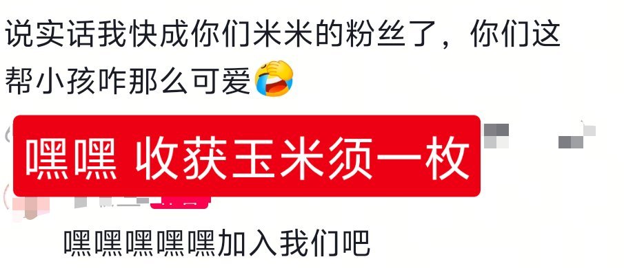 嘿嘿 