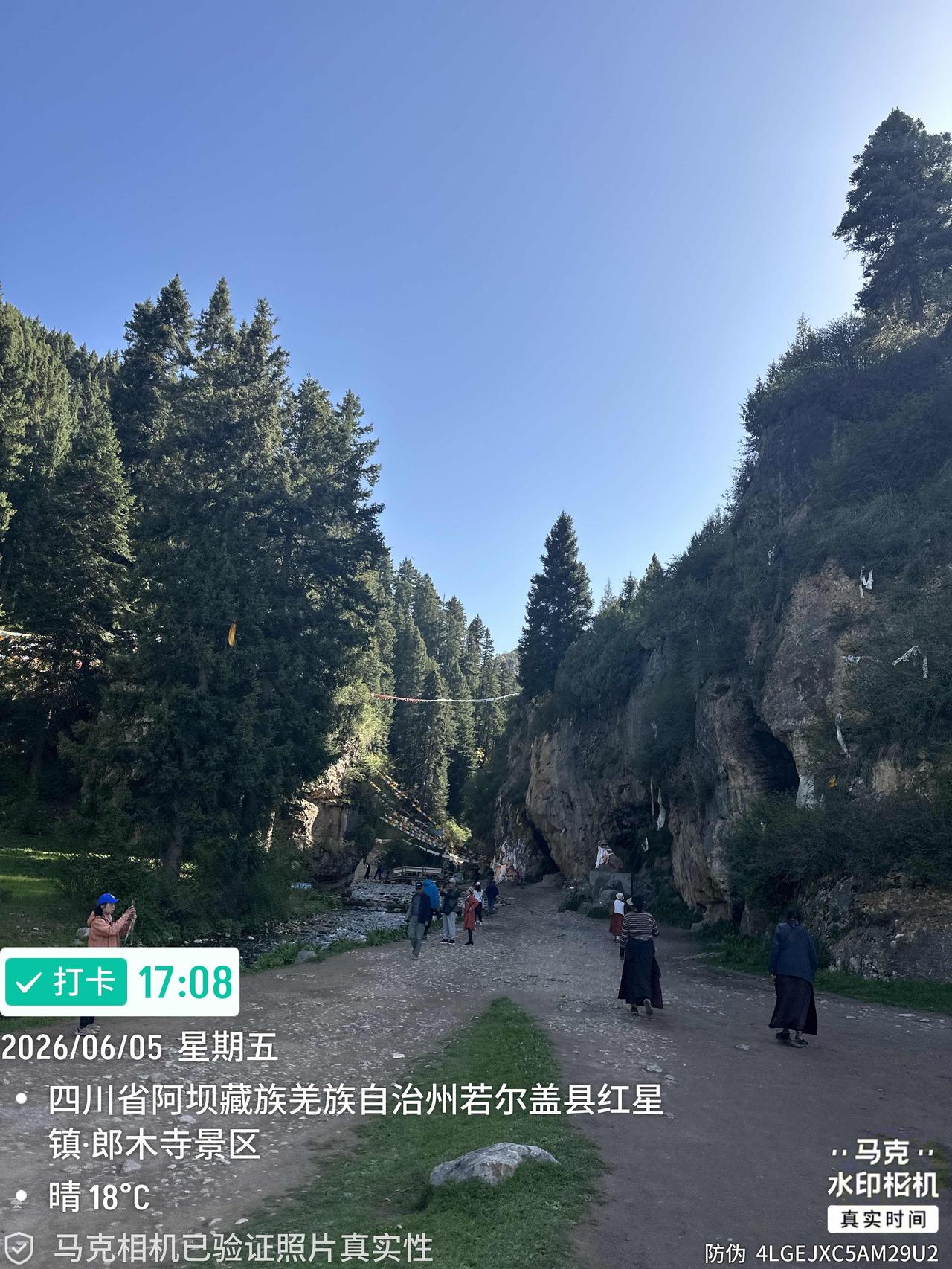 从阿万仓湿地公园附近吃完午餐已近3点，大家筋疲力尽，我精力充沛由我继续开车下一个