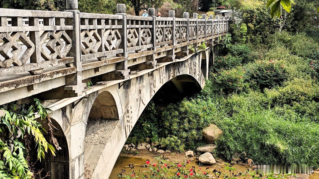 华南植物园有座玉兰桥，两侧是“伟大的领袖毛主席万岁”“伟大的中国共产党万岁”标语