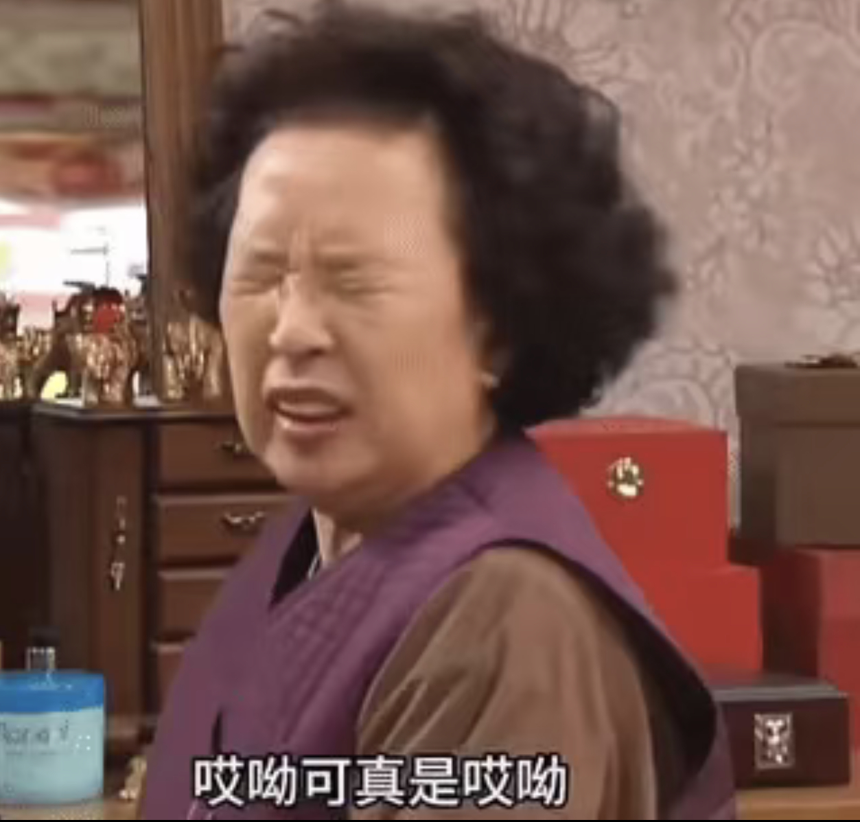 每出来一部环大陆都说要吸走6.0粉丝，结果一年过去了，那些曾经扬言脚踢6.0的都