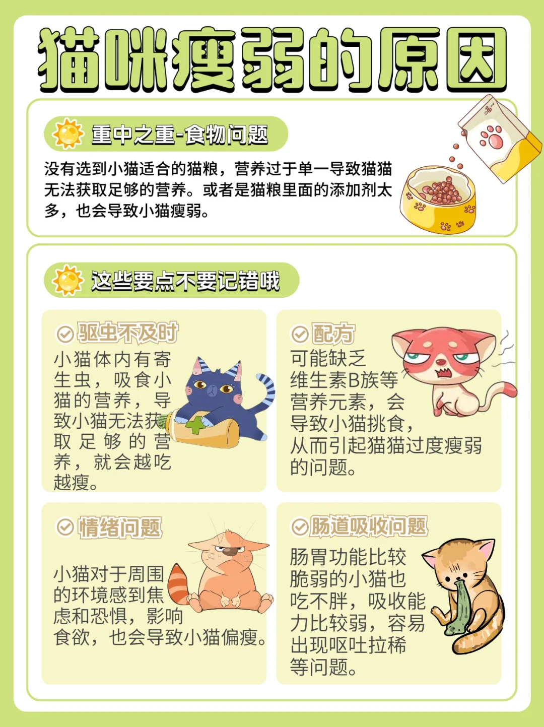 猫界黛玉上岸记🙋🏻‍♀️养出圆润猪咪敲简单