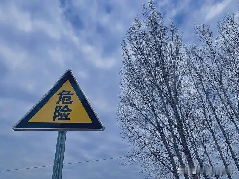 7个危险信号！父母出现任意一个，就该主动放下车钥匙了
 
父母开车 老年驾驶 交