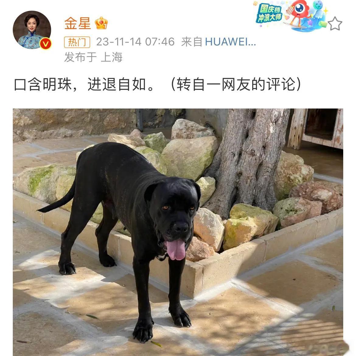 金星，引发热议！

11月14日，正当大家的目光都聚焦在“竞燃之夜”，看一众为国