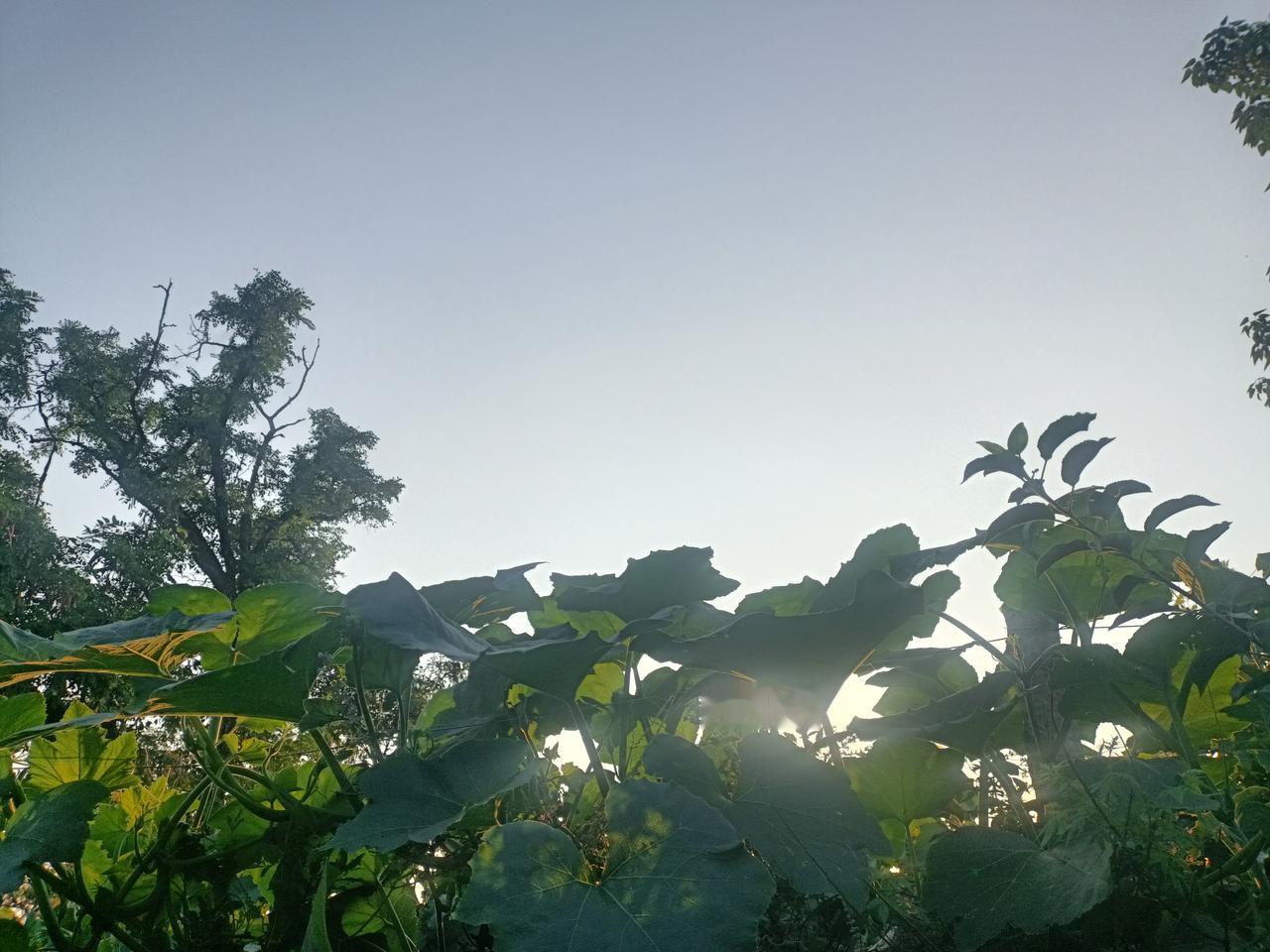 记住形意五行拳先练一拳，
十二形先练一形，
把这两下子练漂亮了，
再往下去学，