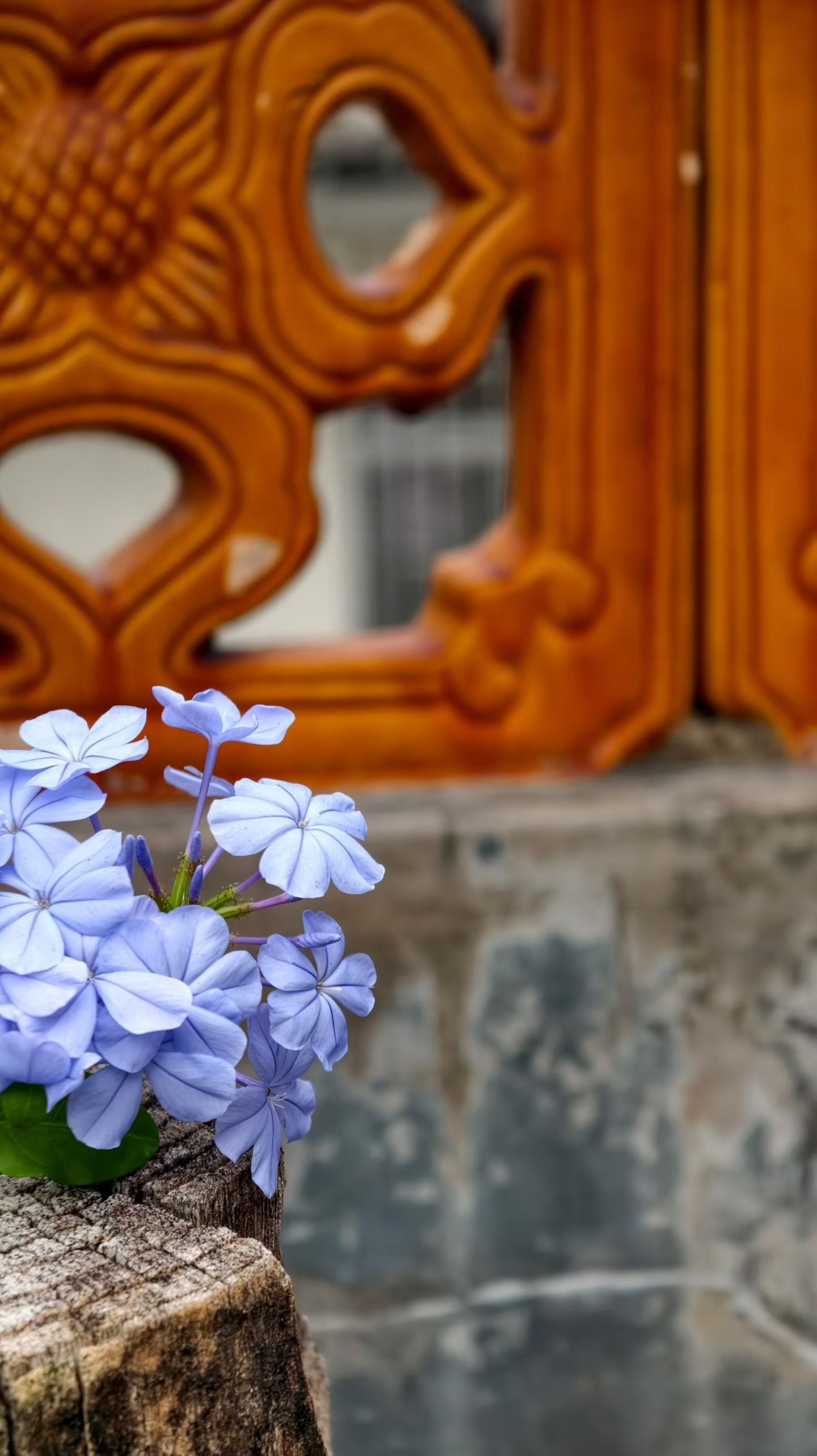 对于我们这代人而言，真正的清醒，或许已不在于简单选择“躺”或“卷”的立场，而在于