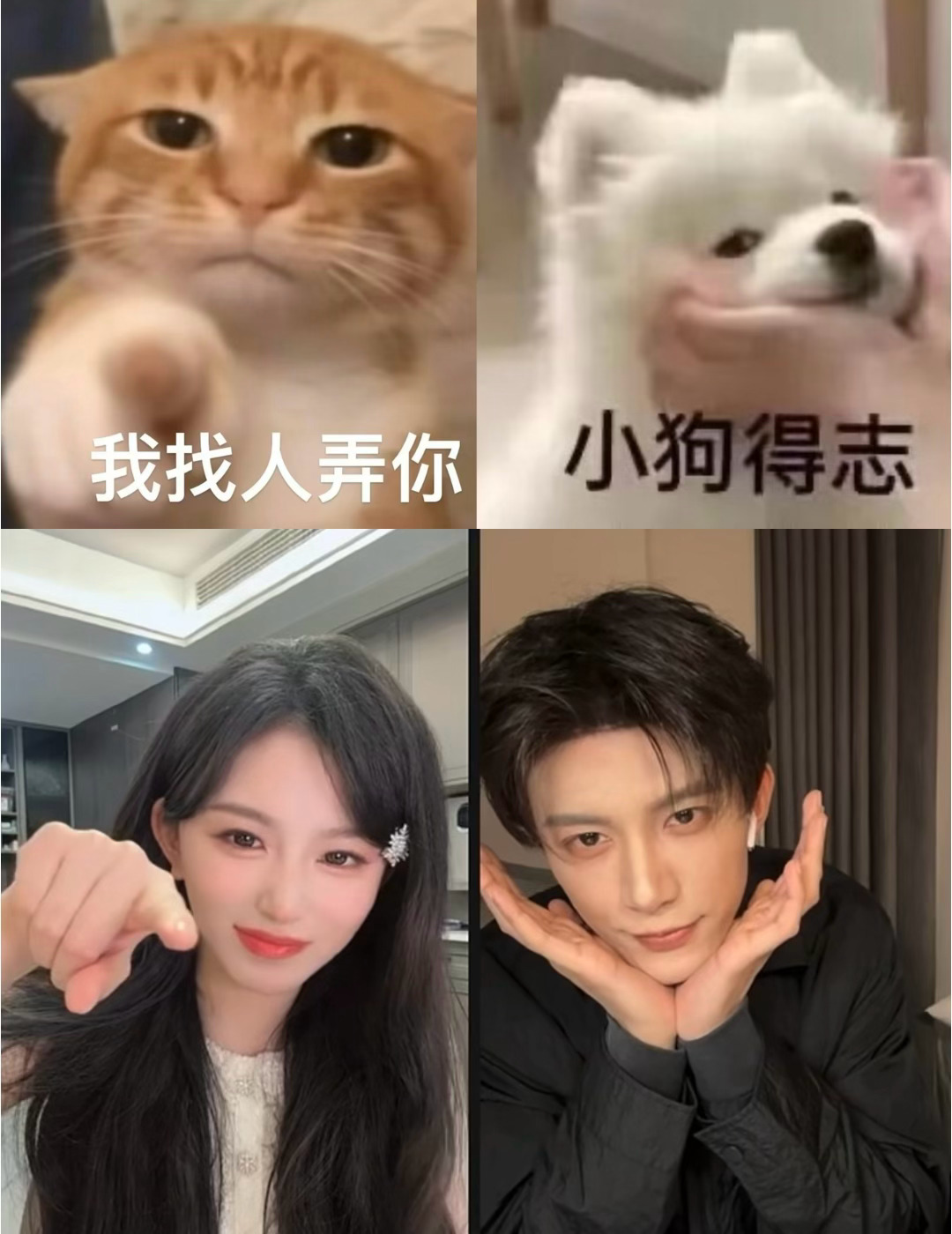 “你再指一下～”哎哟邓凯就这么当上娇夫了孔雪儿邓凯cos猫狗表情包