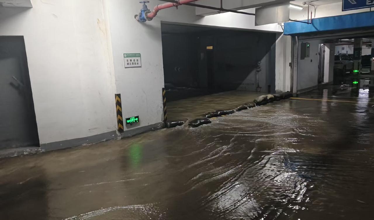 入住十年了，第一次水进车库，苏州的雨，赶紧停吧。