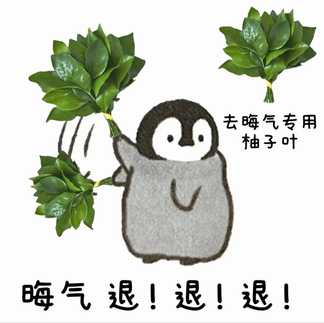 暴雨天 生理期 拉肚子 加上还摔了一跤 什么事都在今天遇上了 