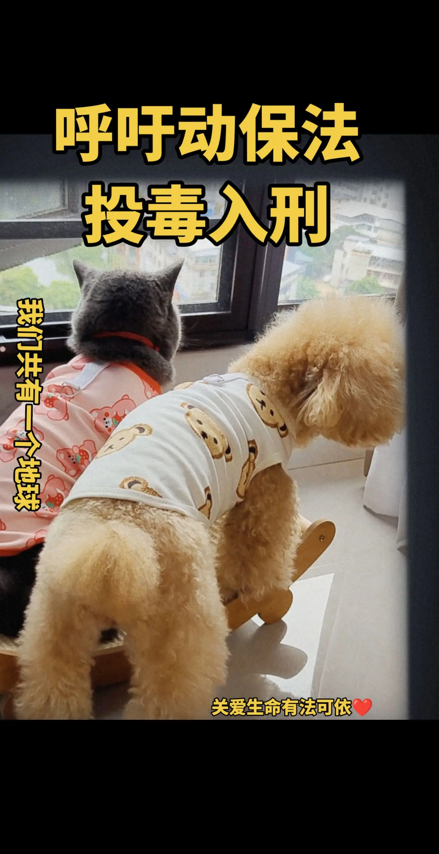 呼吁投毒入刑！地球属于所有生命，请让我们自由呼吸！呼吁动保立法
