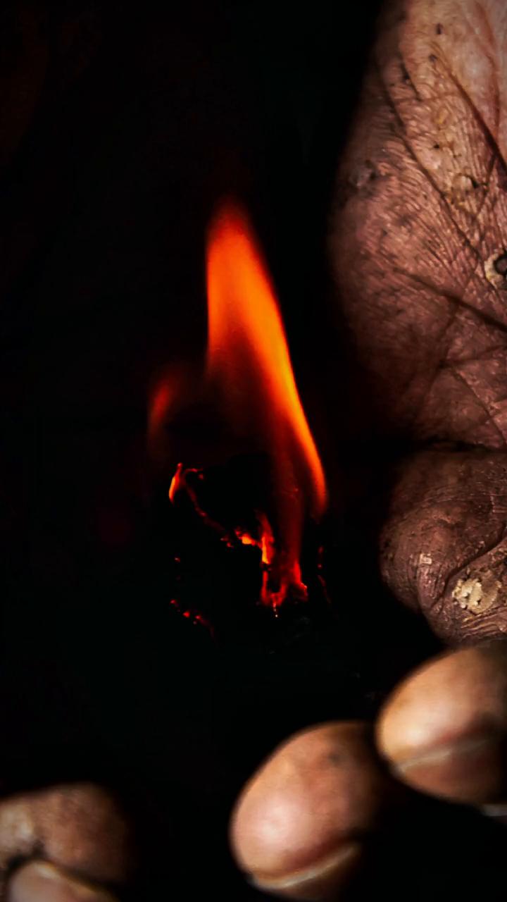 自由就是不再寻求他人的肯定，我们没有必要时时刻刻都去满足别人的期待。希望我们都能