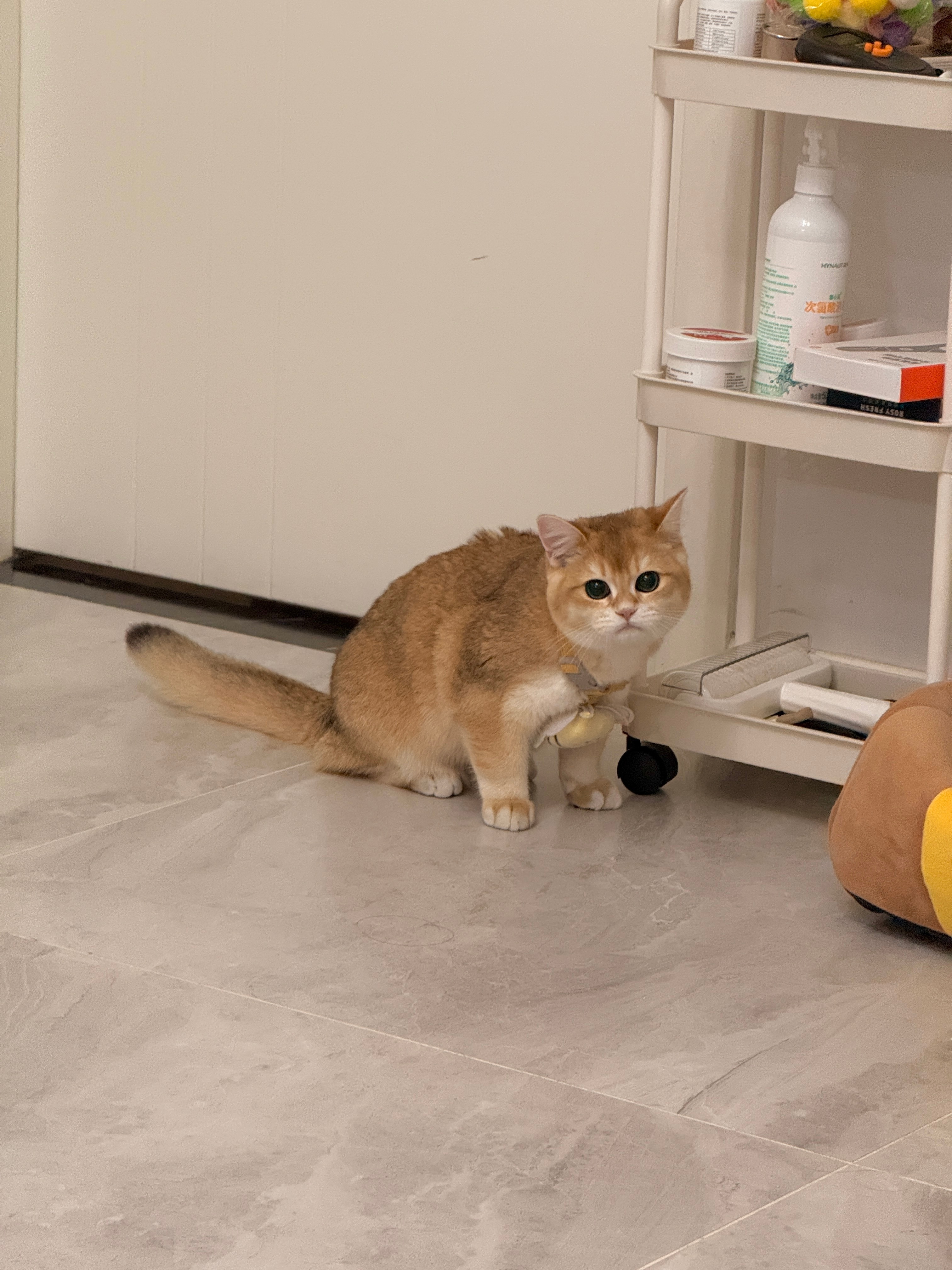 挣着2W工资冒着10W风险这说的不是汽车博主的运营吗保密协议动不动几百万一个不注