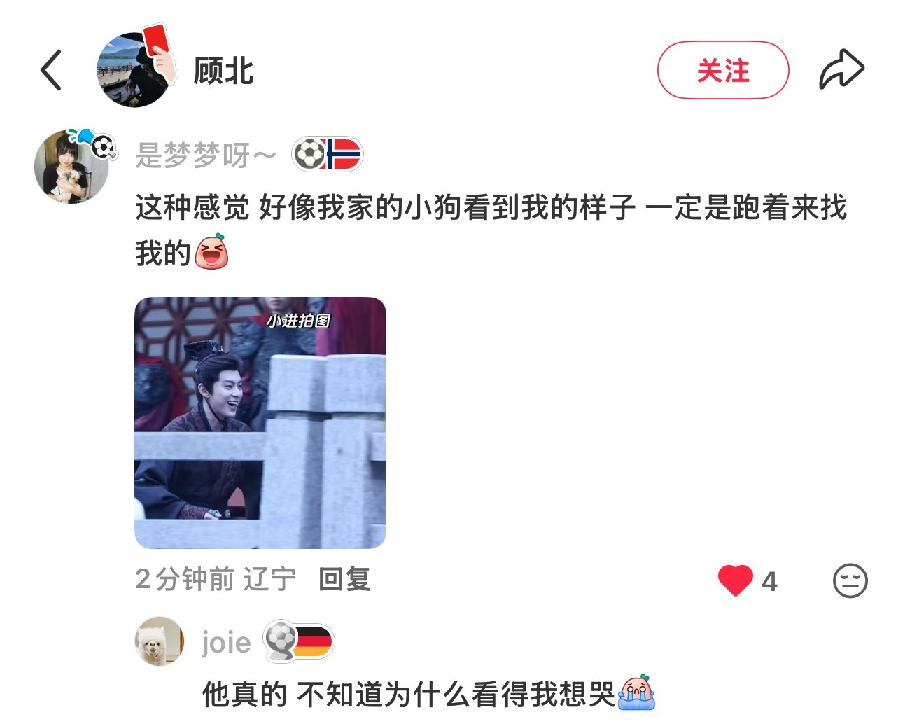 在DP评论下看到一条（感觉是）路人觉得像小狗狗呜呜 