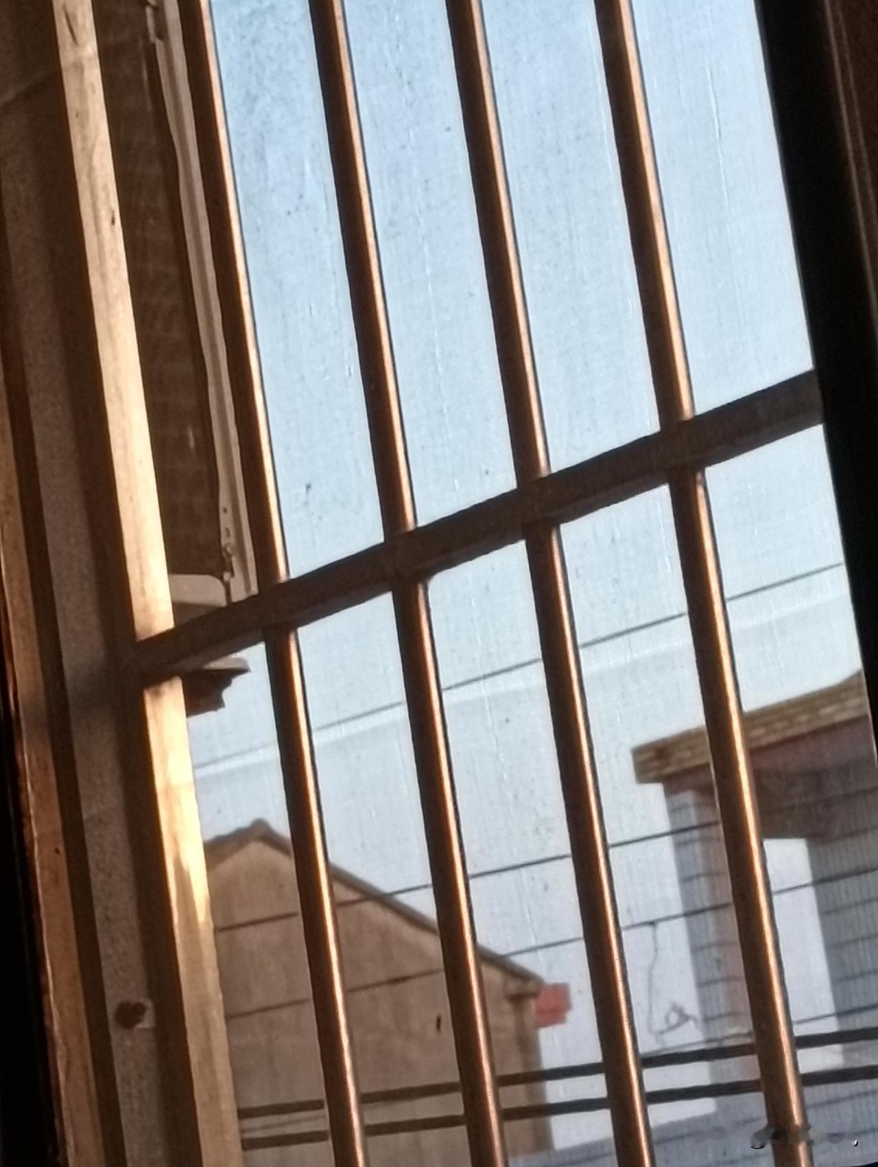 窗外的阳光照进来，好温暖。