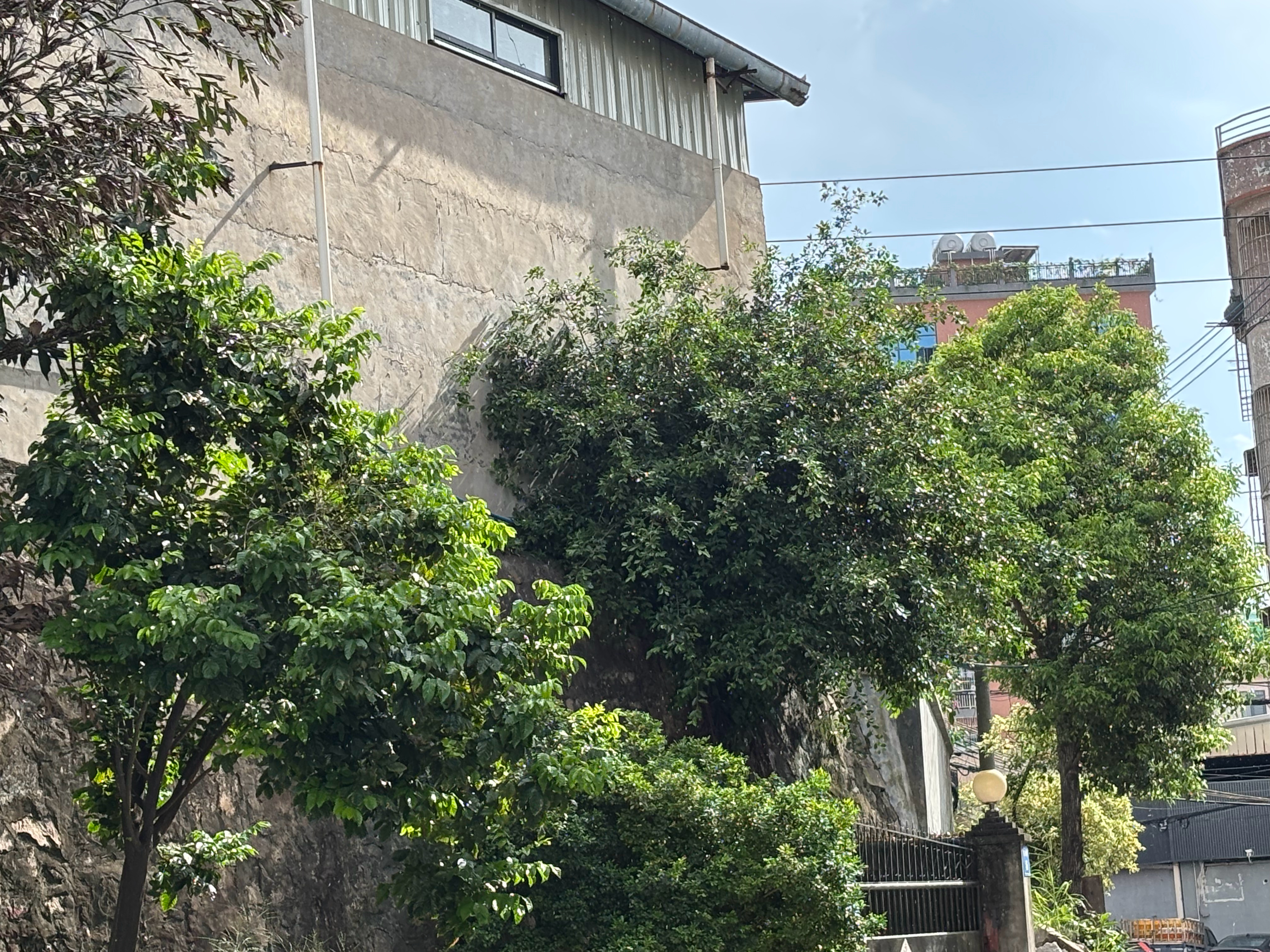 超标准的太阳雨 双喜临门的好兆头 