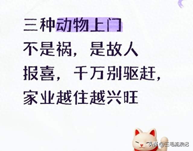 三种动物上门不是祸，是故人报喜，千万别驱赶，家业越住越兴旺