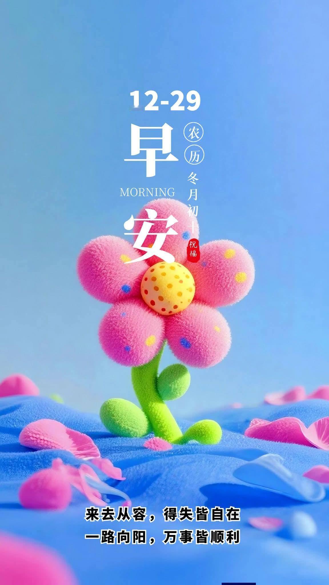 早安，冬日暖阳，万事顺心！🌼🌞