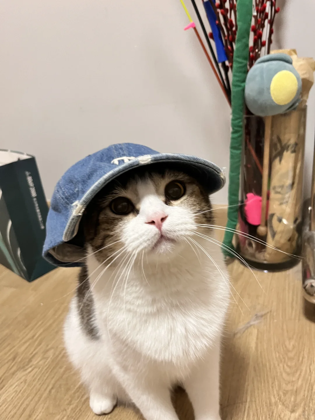 帽子带好，立正