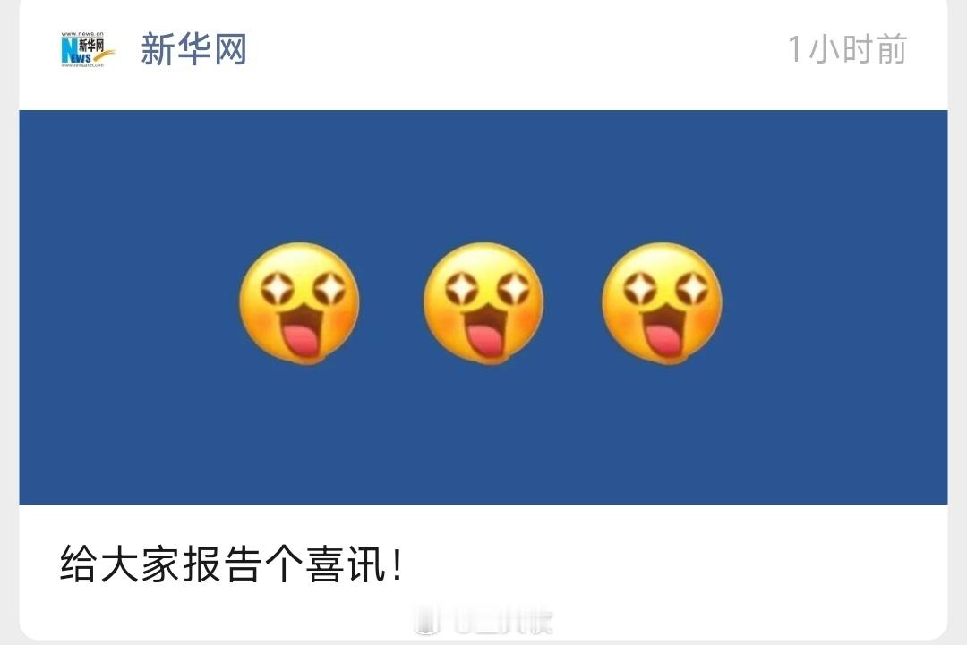 哈哈哈哈小编也干了
