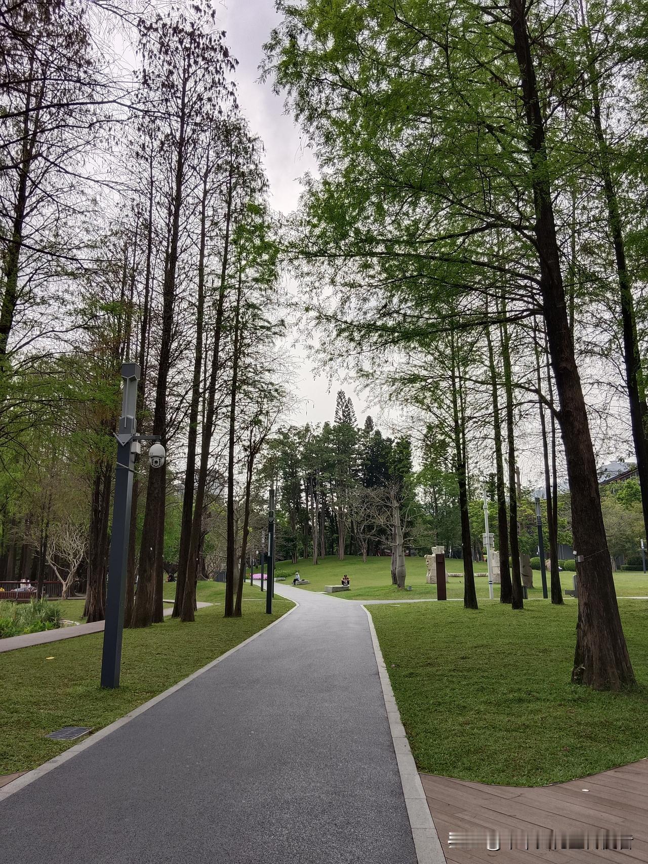 你以为的理所当然，其实是世界顶配！同志们有没有想过，能让14亿人每天居有定所，吃