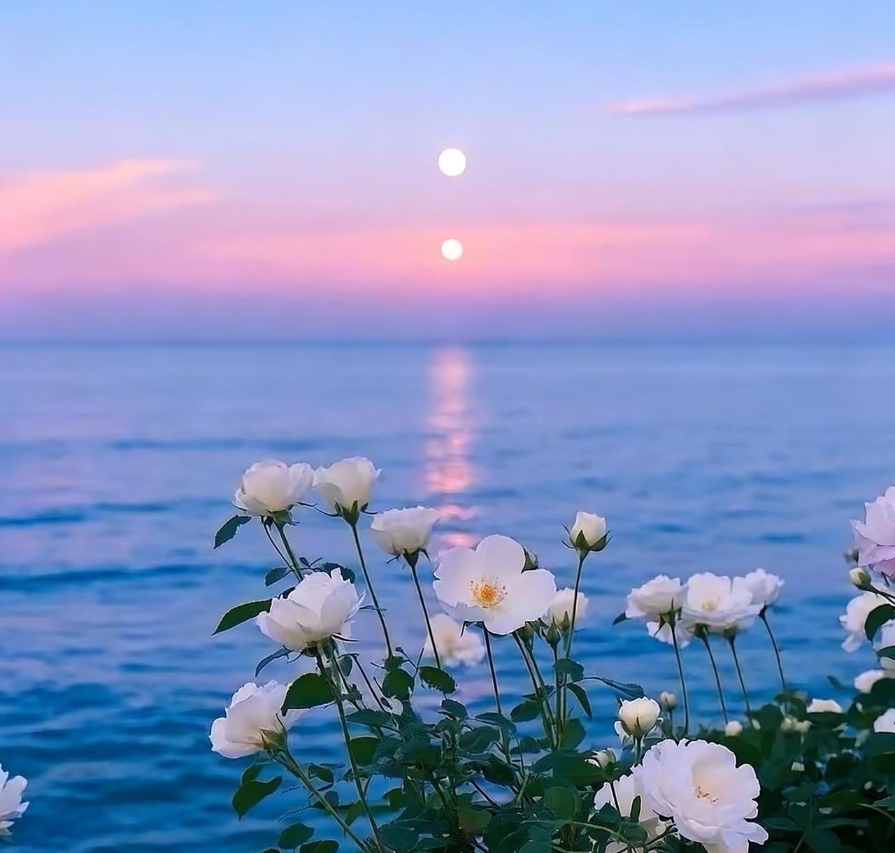 万般皆是命，半点不由人。
后来才懂，不是认命，而是放过自己。