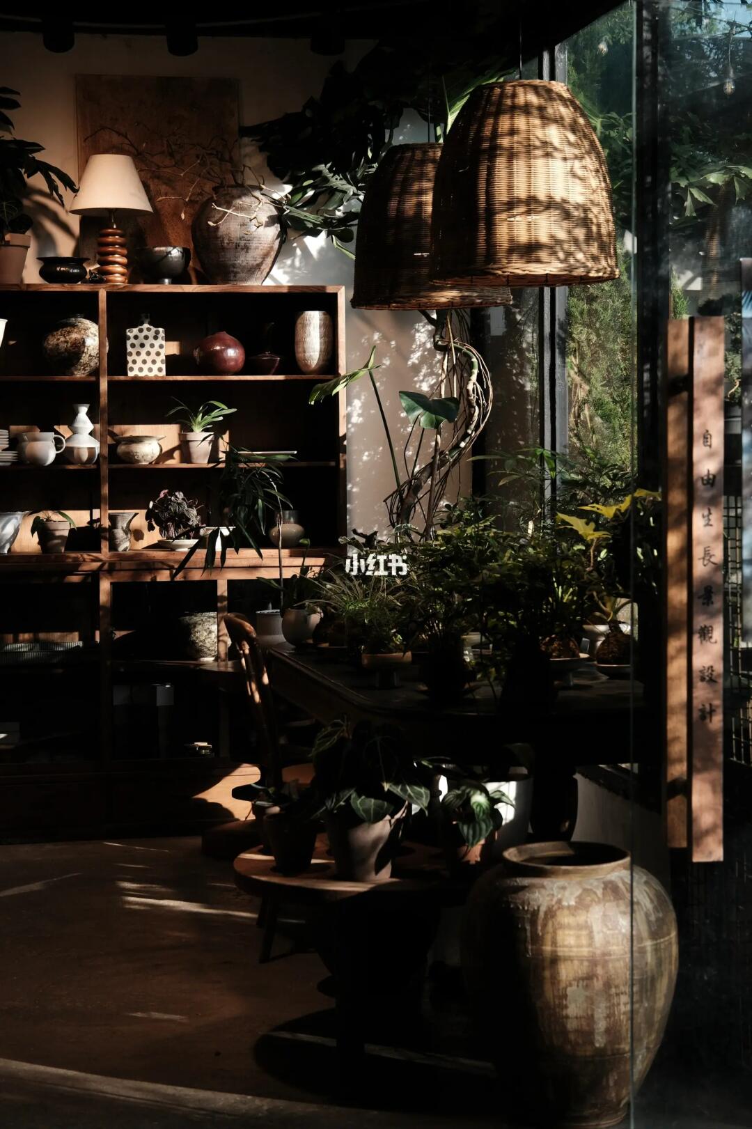 六月招聘更新｜自由生长植物工作室