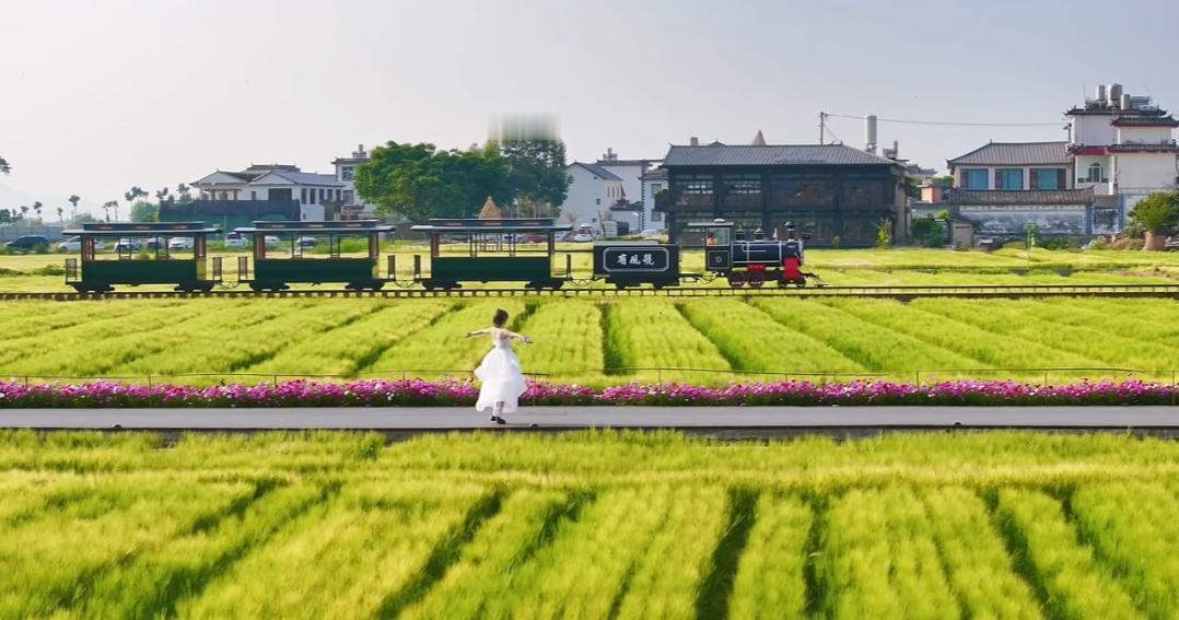 鲜花在侧，麦田在下在绿色的原野上...