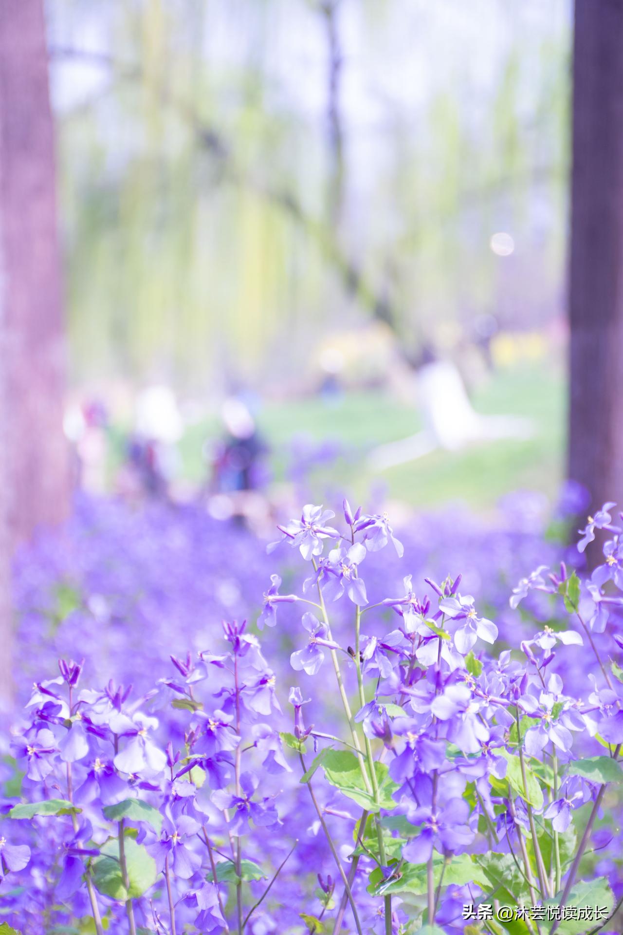 以为退休就是混吃等死？错！
真正的顶级晚年，全靠这几点撑着！
 
人到晚年，最顶