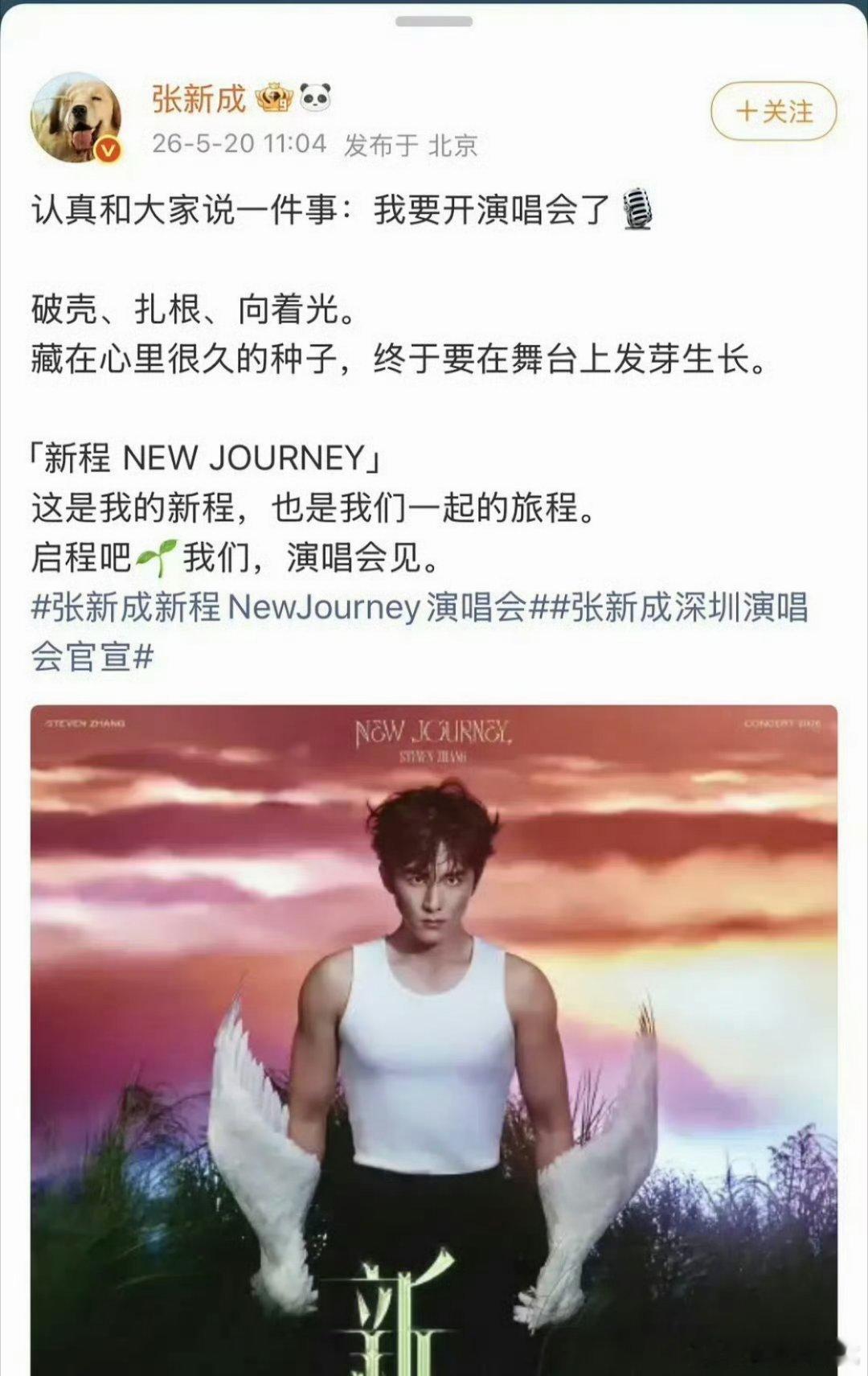 张新成要开演唱会了，我们内娱演员这么爱唱吗
