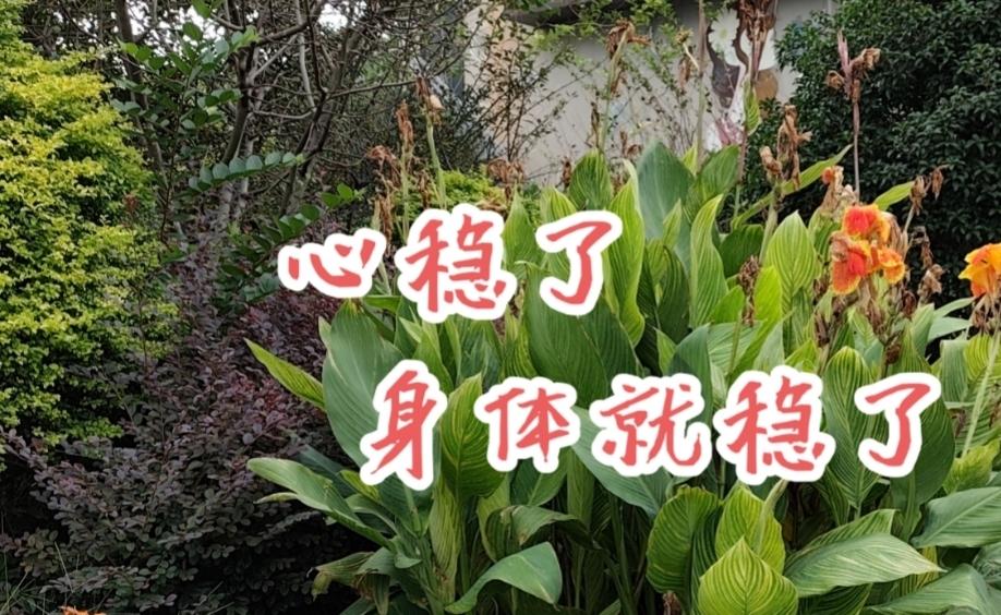为什么要怕？听听梁医生说的——
我相信[比心]我自己也有体会。说的太真实了。只要