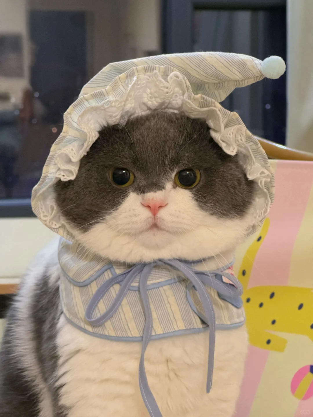 今日小猪的OOTD