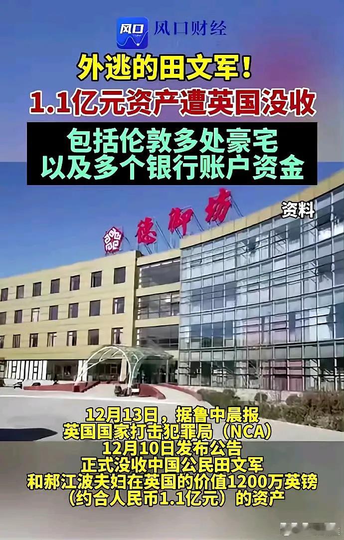 田文君畏罪潜逃英国，本以为能带着钱在外面逍遥快活，没想到却成为西方国家案板上的肥