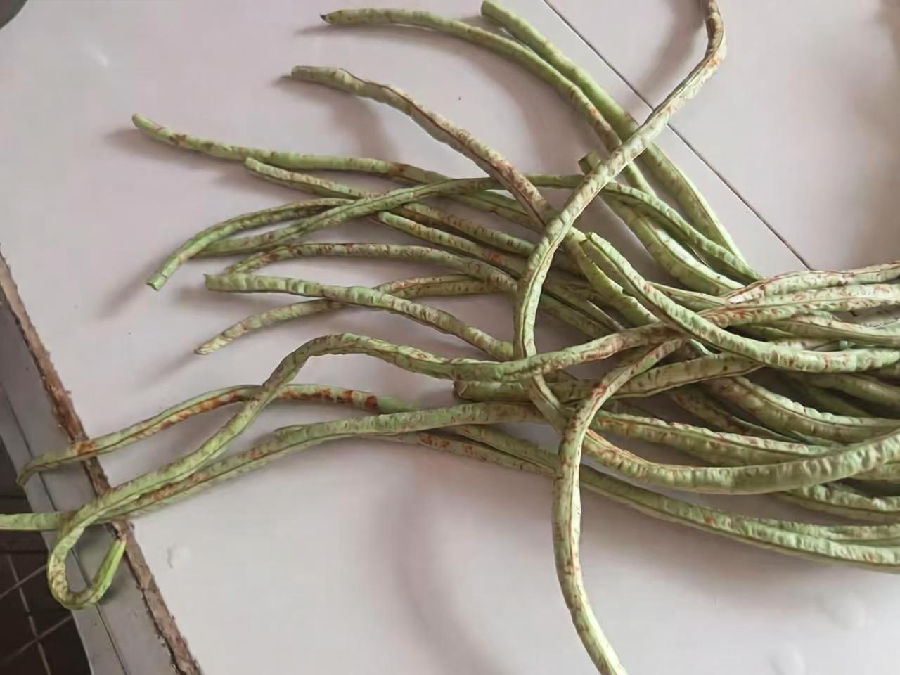 邻居给的能吃嘛