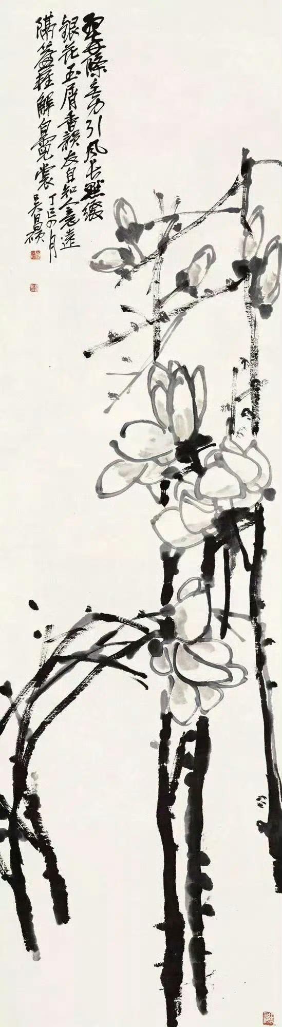 玉兰花开：是云落枝头，还是仙立人间？ 
 
看这玉兰花，才懂什么叫“净若清荷尘不