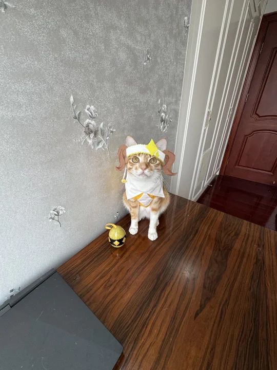 鼻噶大点还玩上cosplay了