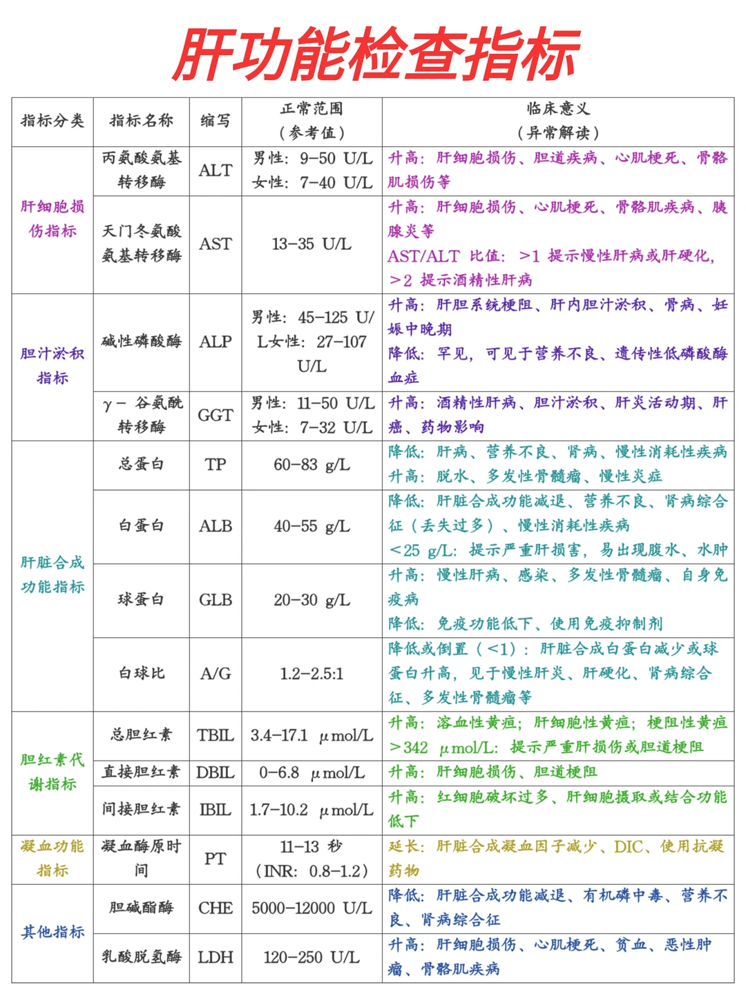 一分钟看懂🔥肝功能报告检查单……