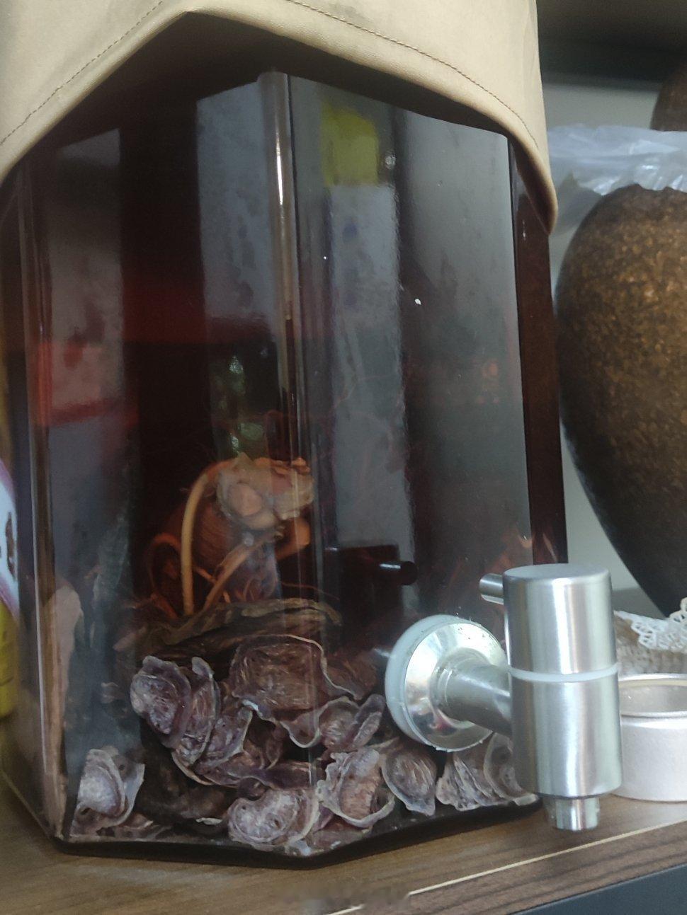 吃吃喝喝过新年春节丙午马年广西美食 南宁