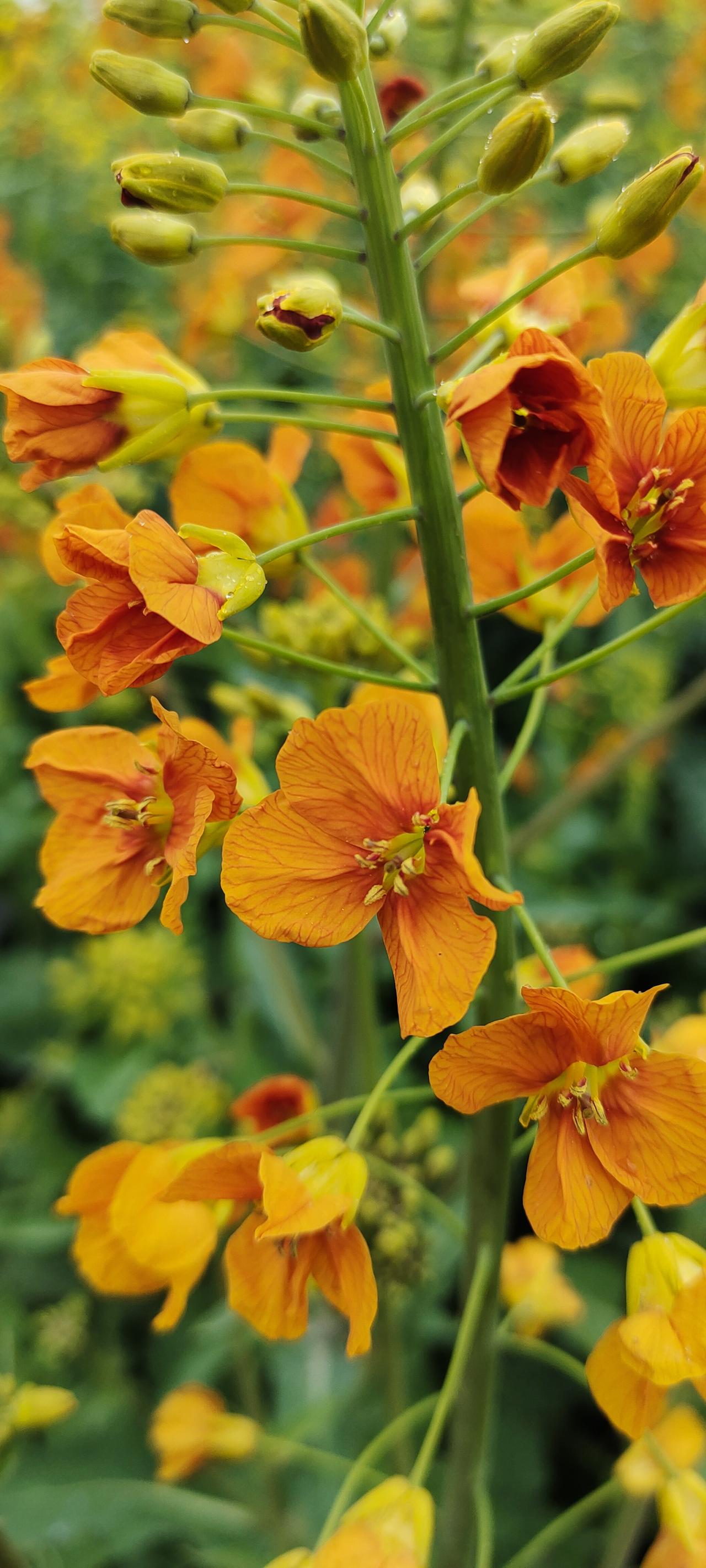 被禁言一周，滋味可太难受了。不过这也给我提了个醒，得好好学平台规则。
一般被禁言