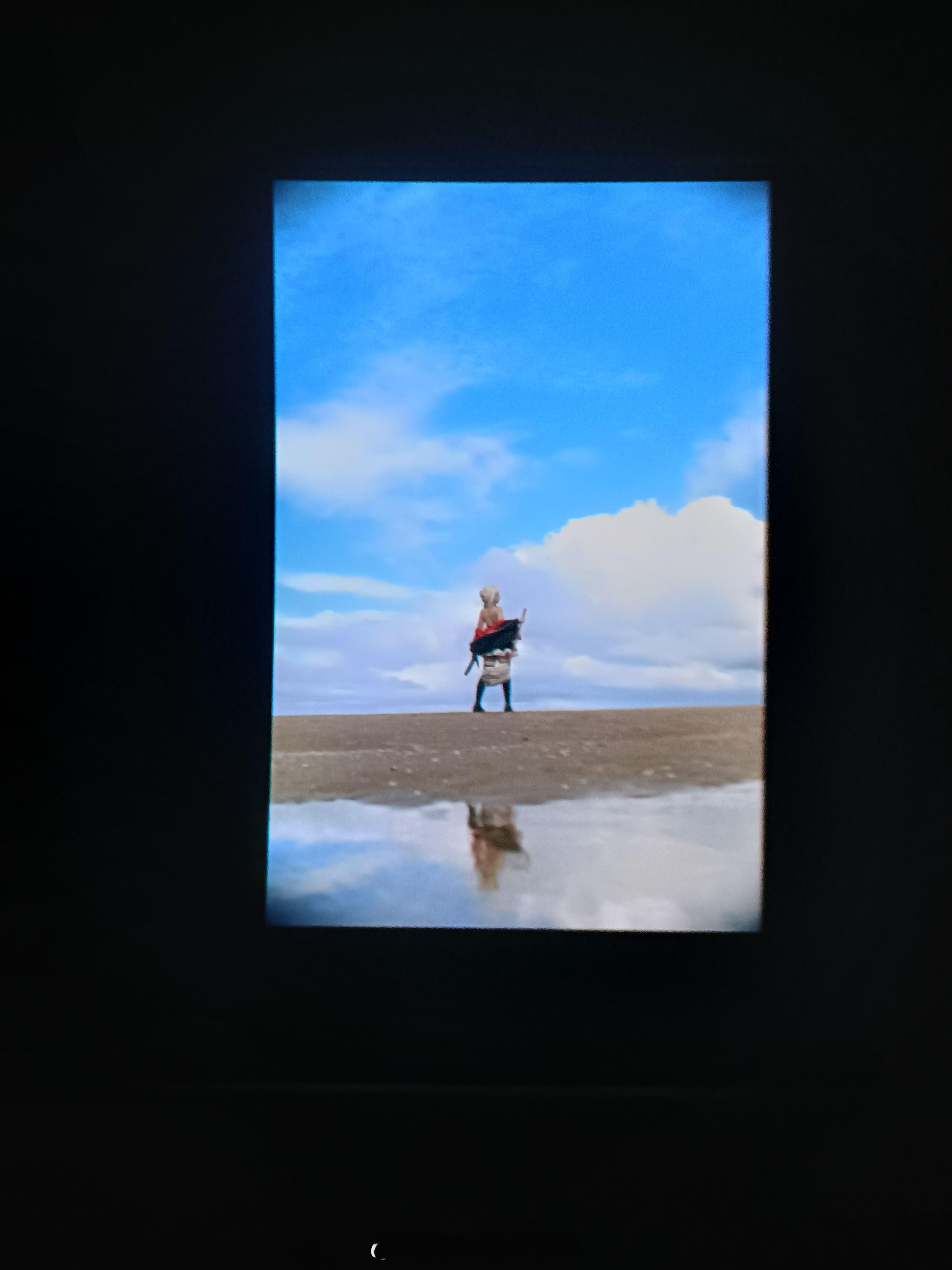 但是拍到了两种天何尝不是一种赚到（？） ​​​