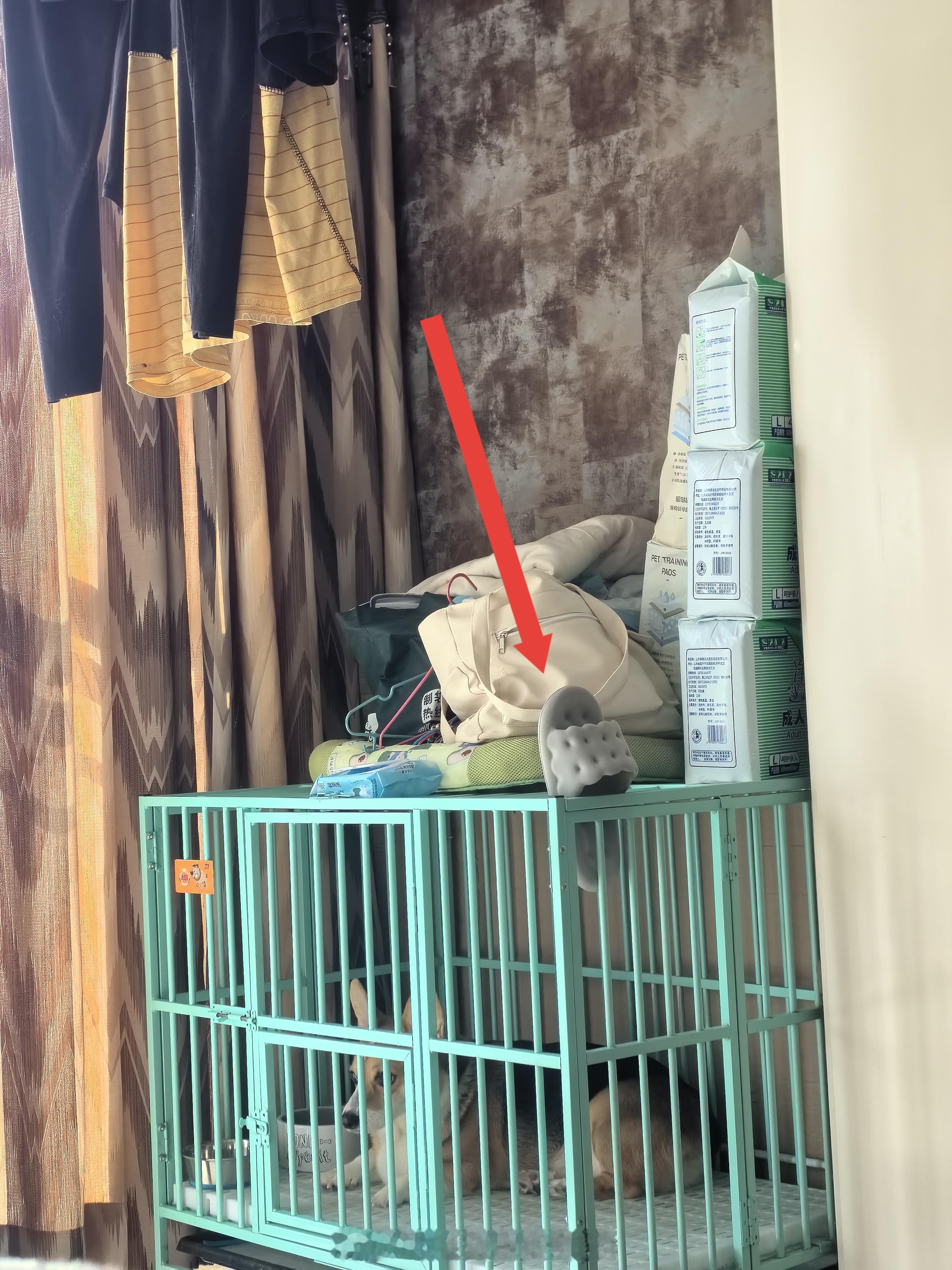 见鞋如见人[笑cry]定海神鞋一直在那闹挺嘴里不干不净的，我把拖鞋一插上去，安安