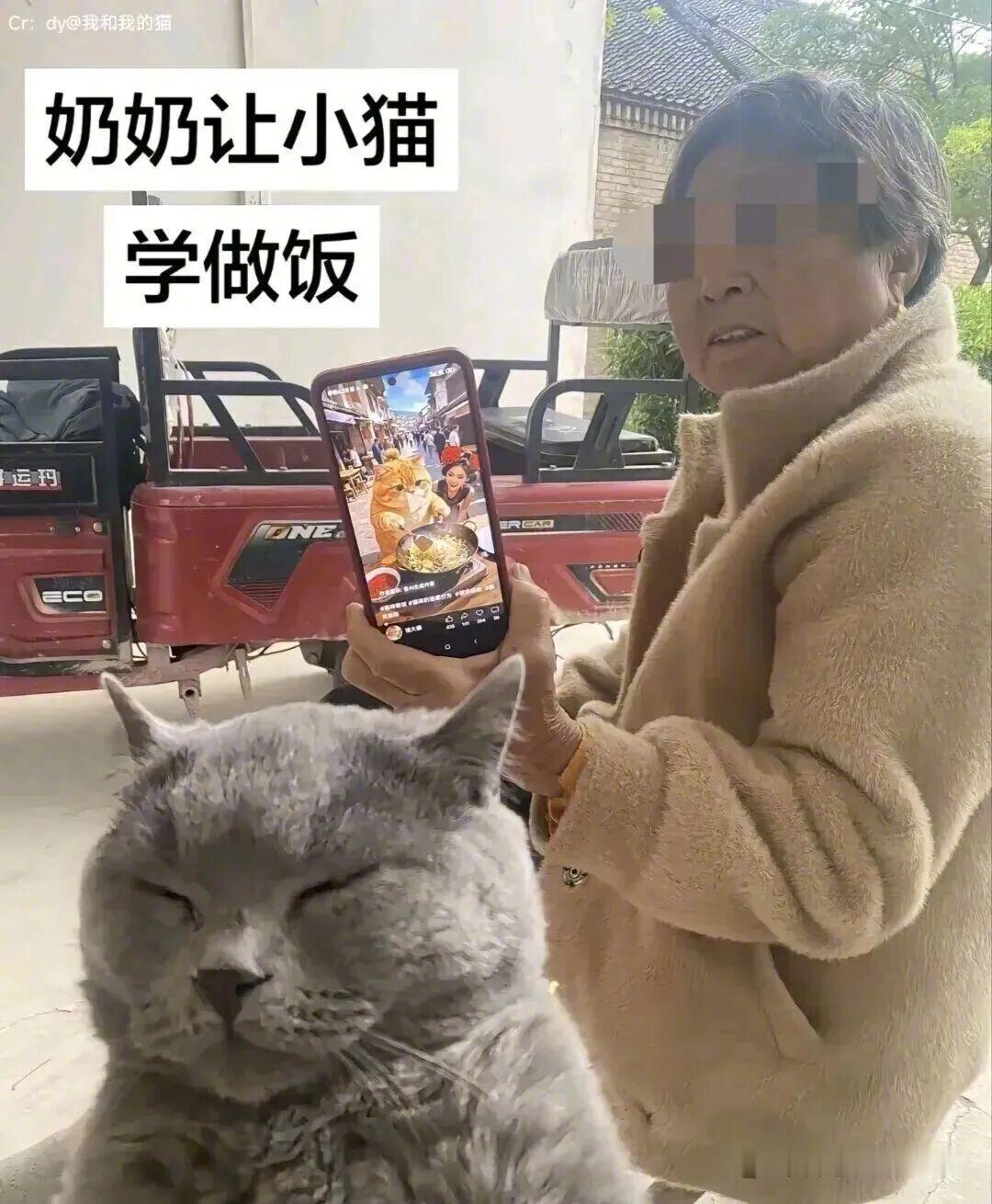 ：你赢了... 