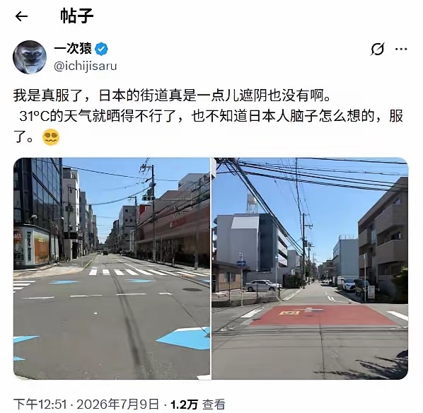 刷到在日华人吐槽日本街道几乎没有树荫，深以为然！ 