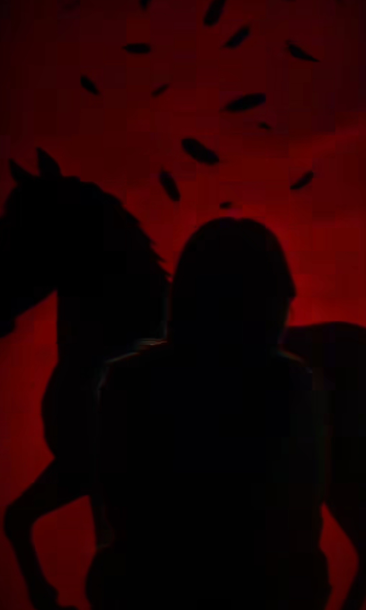 就这个就这个刘涛有视频吗太帅了