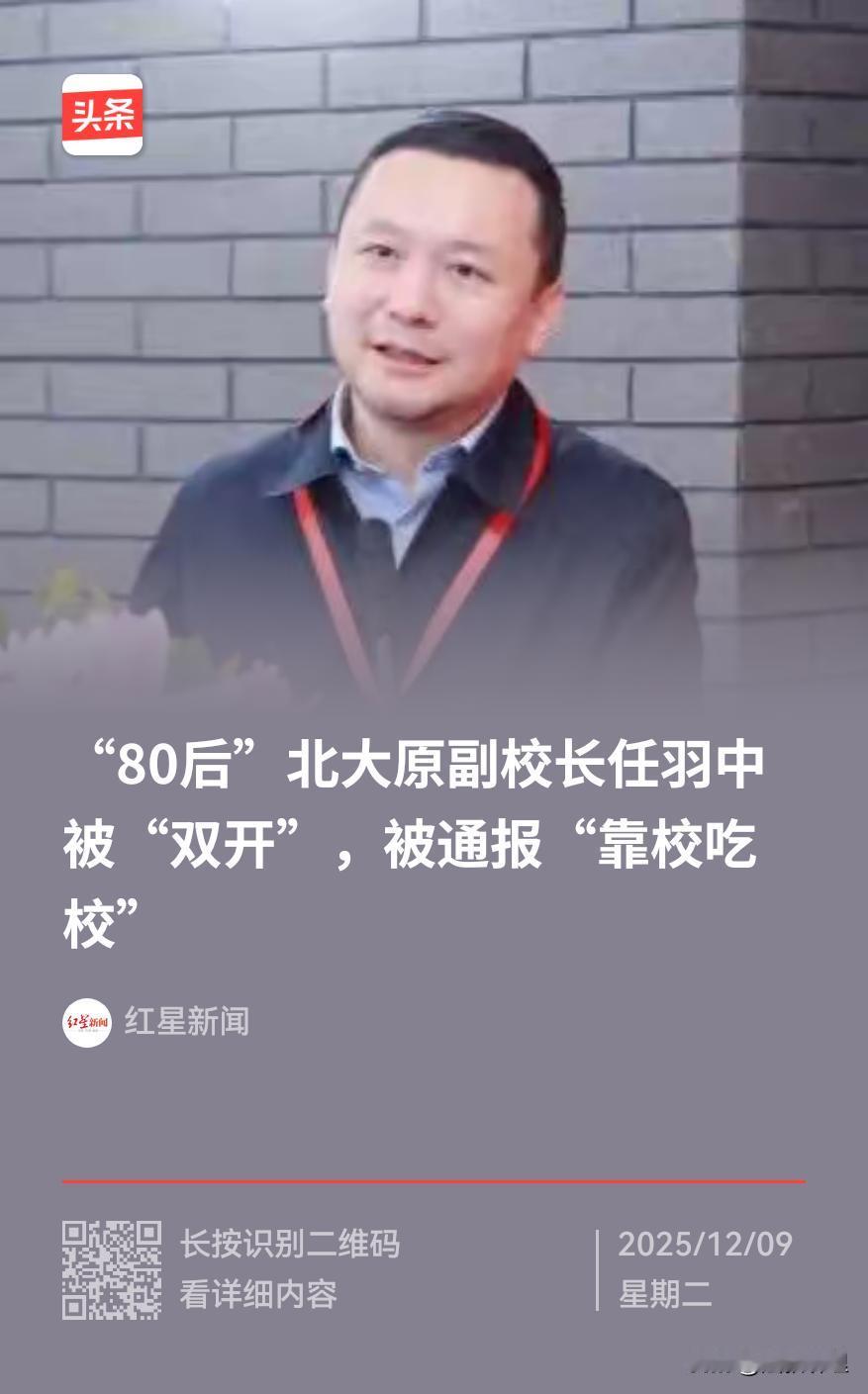 高校泡沫感藏不住了！46岁副校长塌方、26岁博导崛起，警惕高等教育去工业化隐患青