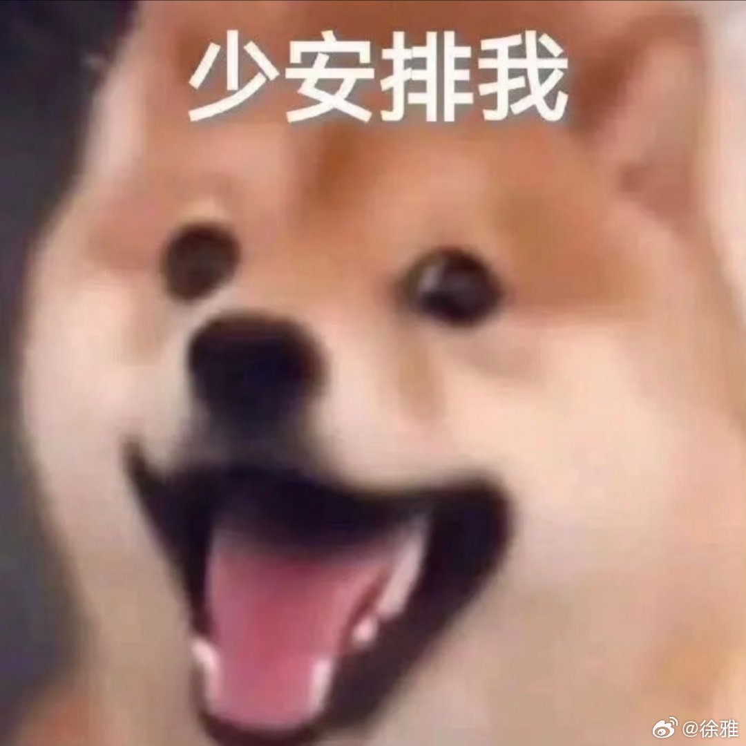 每日表情包分享。 
