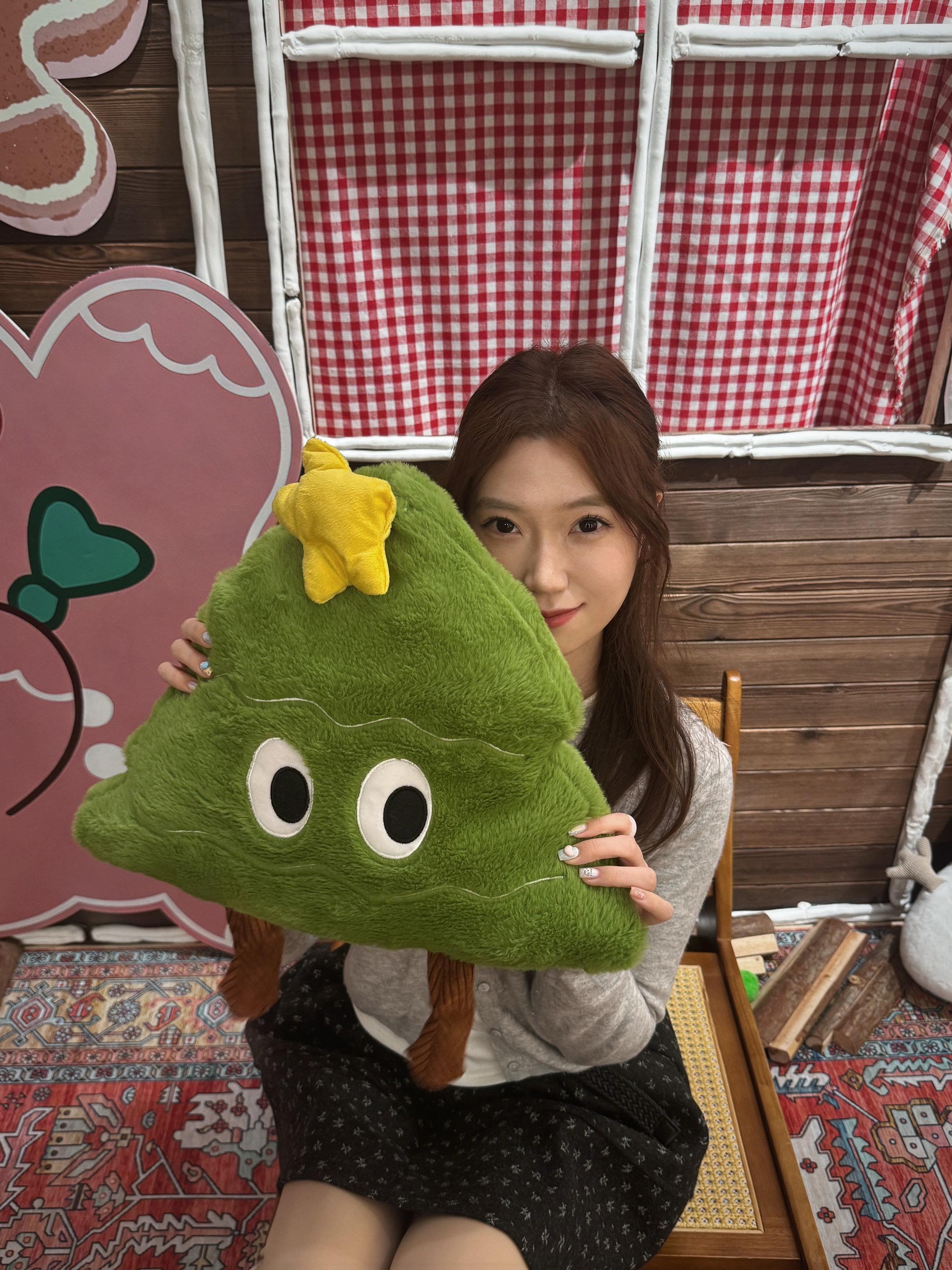 一只绿色的绒毛玩偶