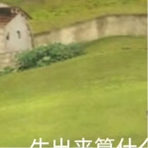 0000你无需时时闪耀，也不必事事完美。真正值得敬佩的从来不是那个最亮眼的人，而