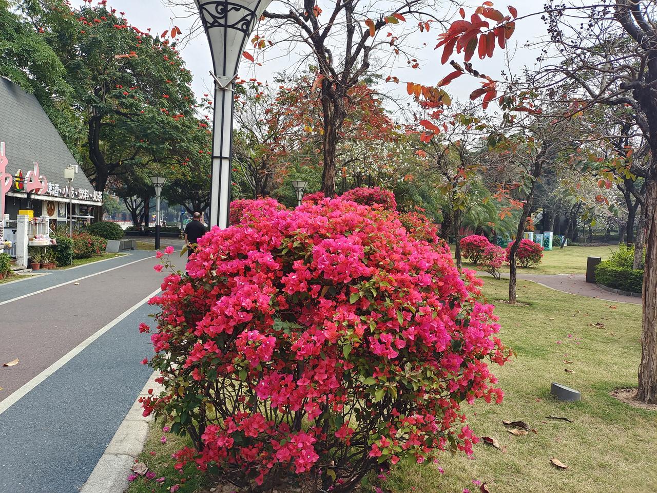 今日随手拍