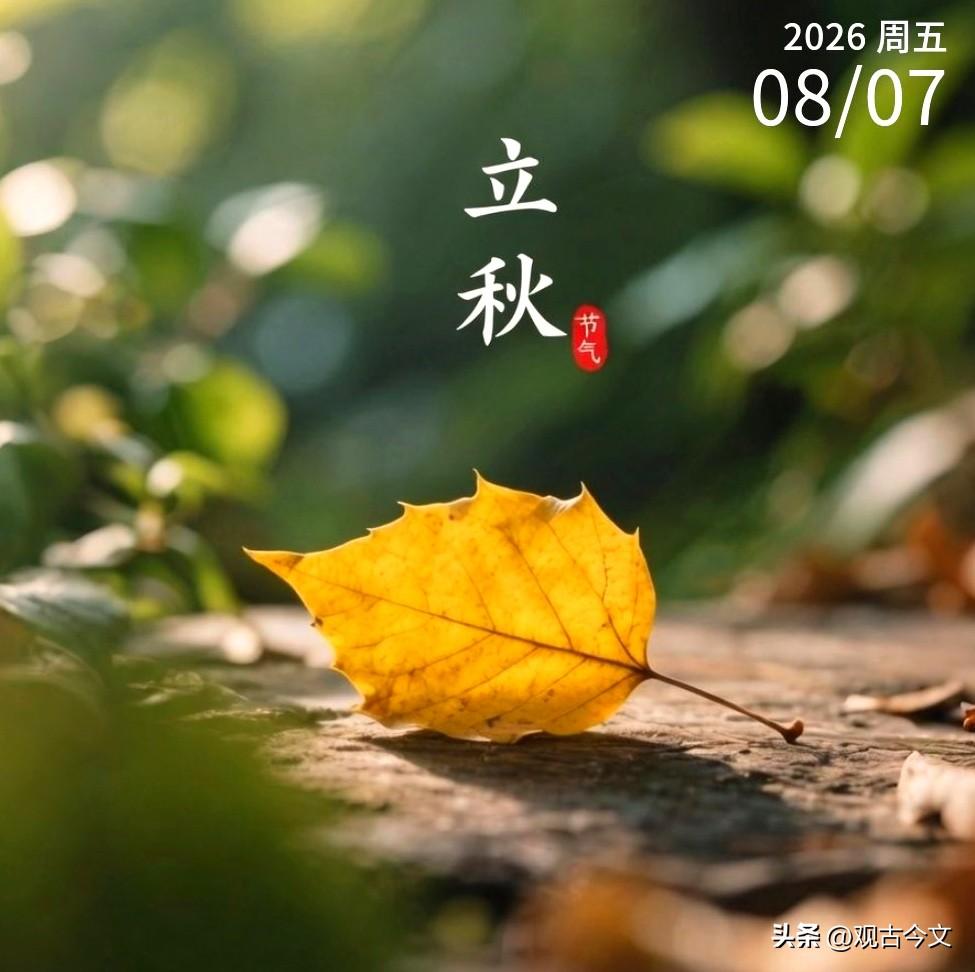 立秋
一叶落而知秋
暑气渐消
清风徐来
