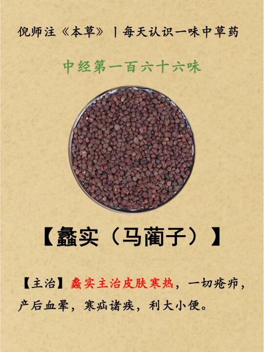 倪师注本草丨中经166-168蠡实-瞿麦-玄参