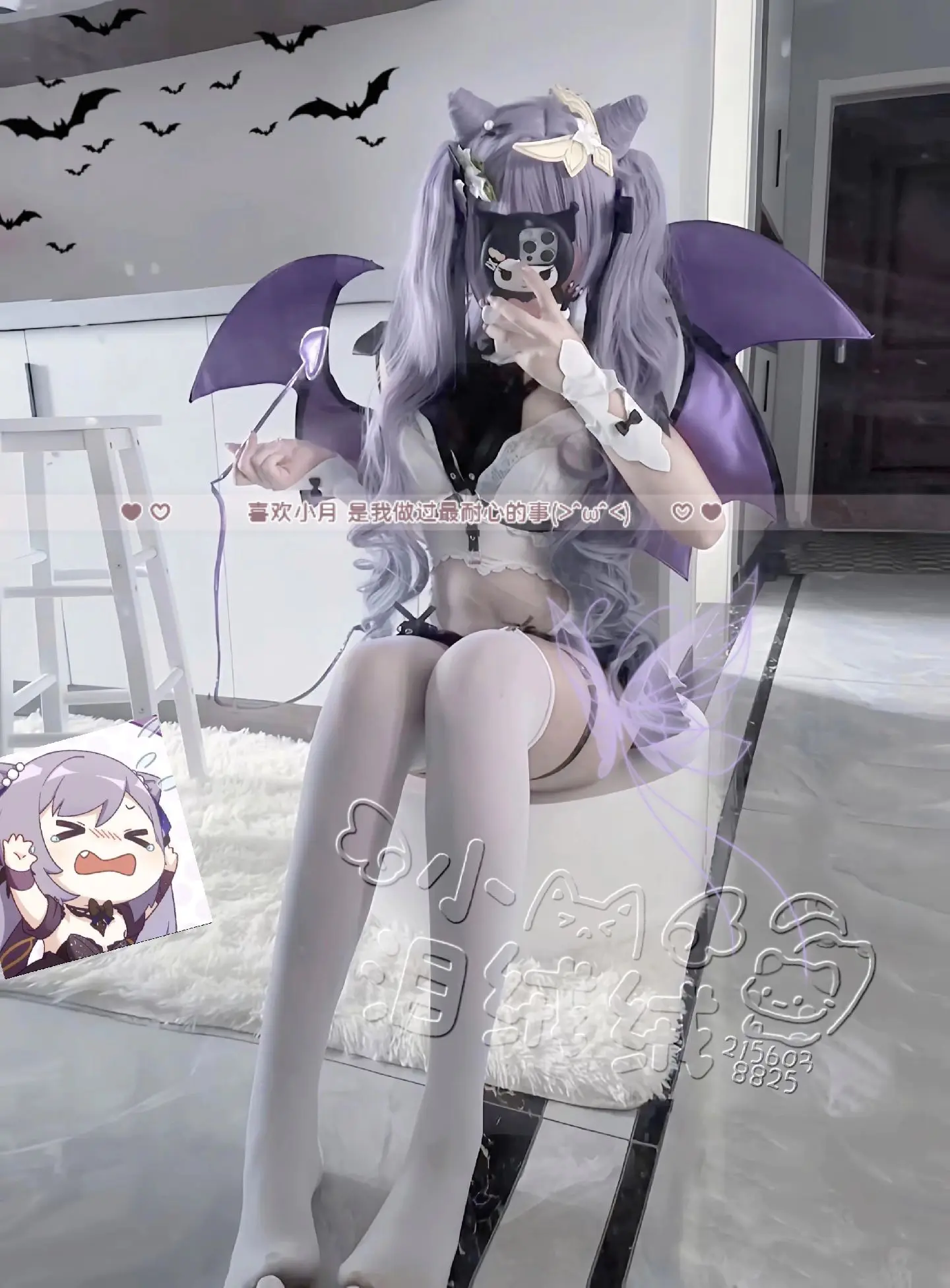 
(>^ω^<)小猫出现